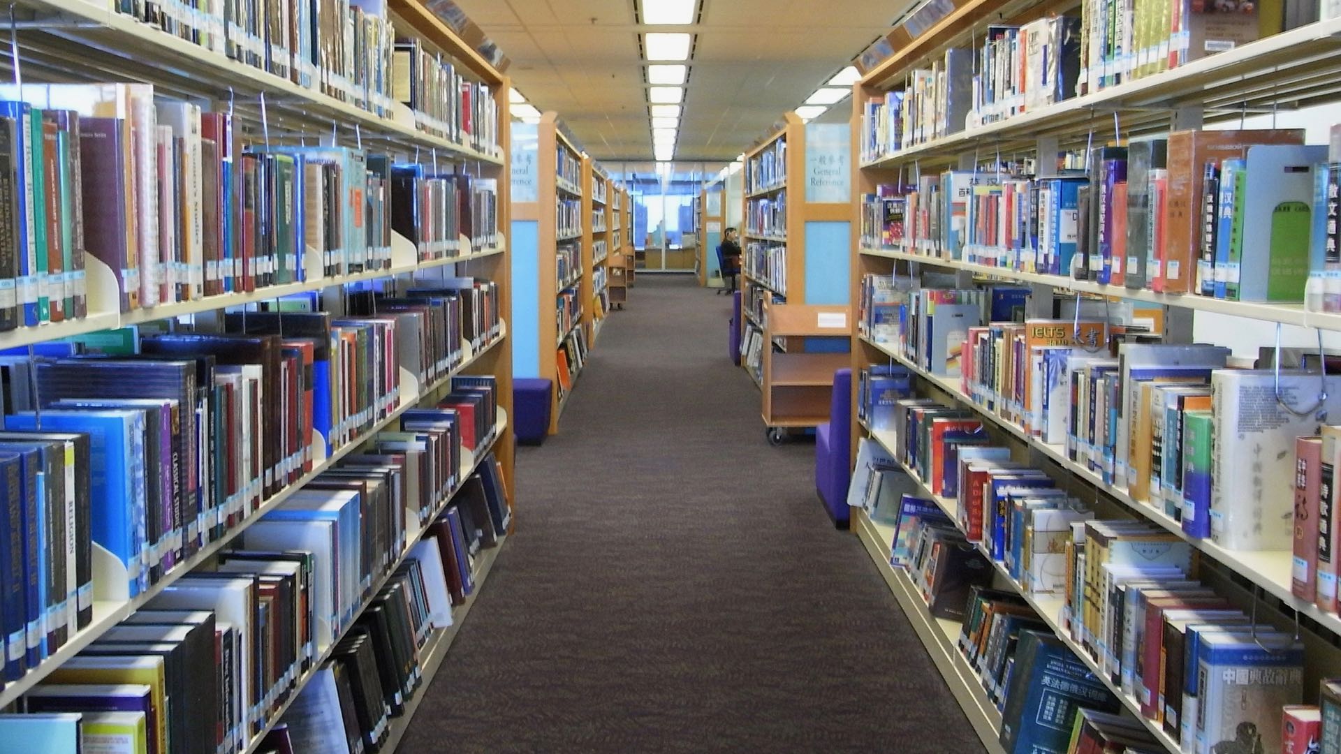 Library shelves books
